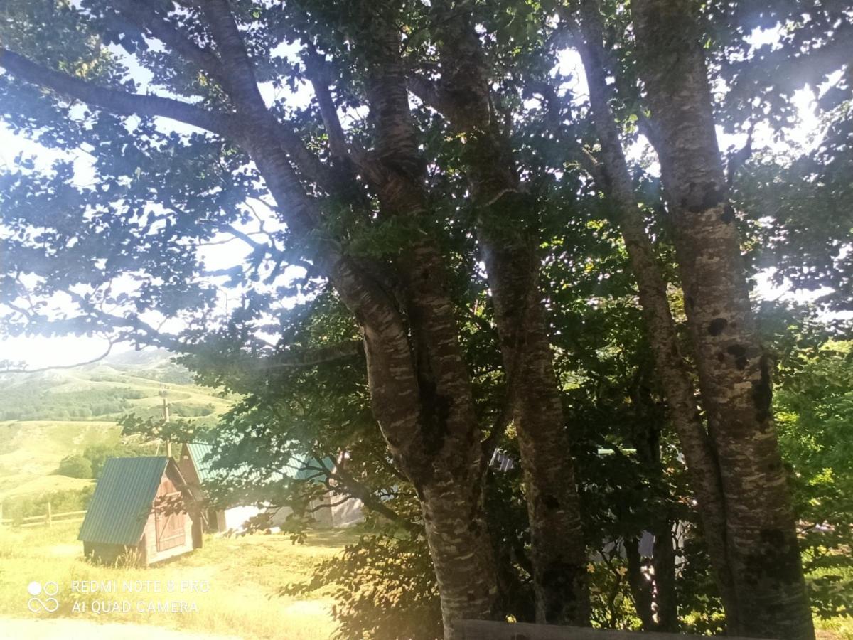 فندق Katun Ljeljenak بلوزين المظهر الخارجي الصورة