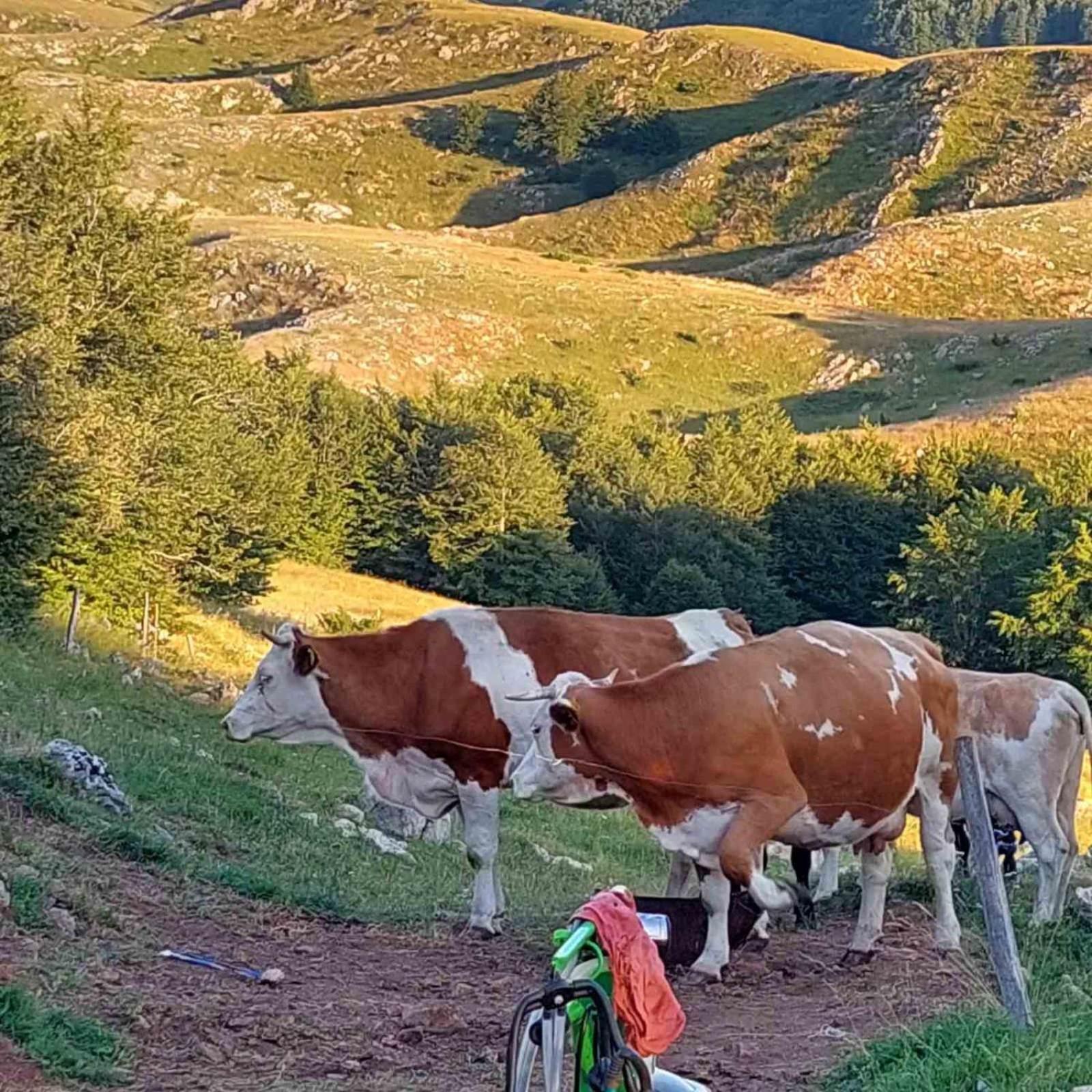 فندق Katun Ljeljenak بلوزين المظهر الخارجي الصورة