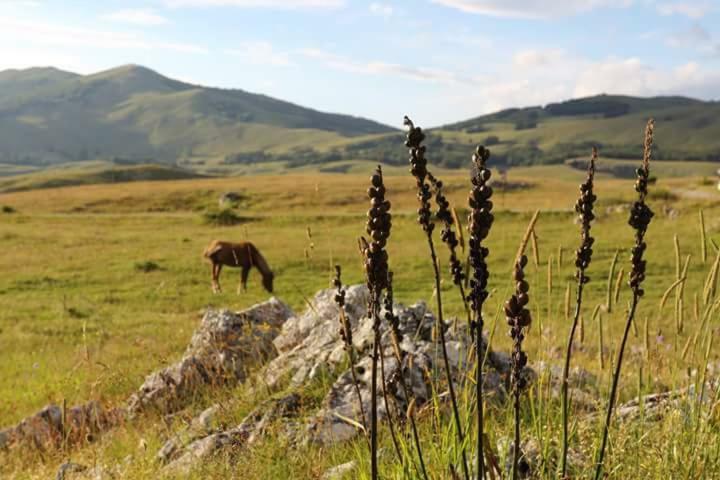 فندق Katun Ljeljenak بلوزين المظهر الخارجي الصورة